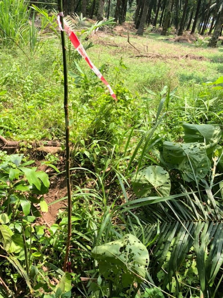 Blog-PembersihanTapak (1)